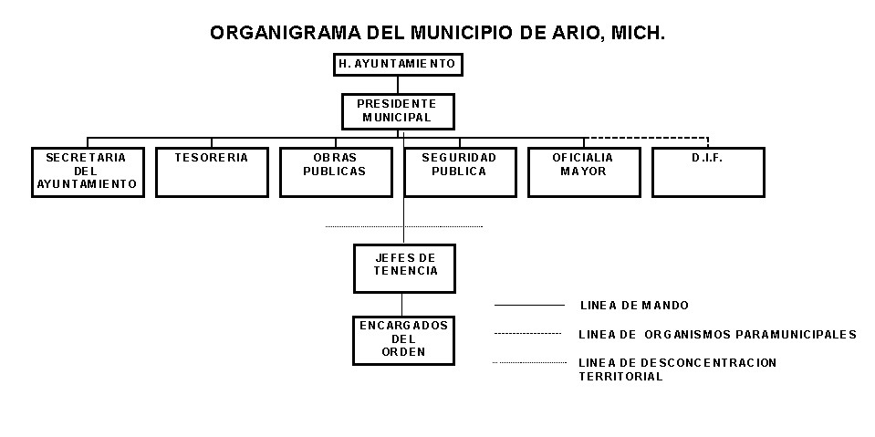 Organigrama